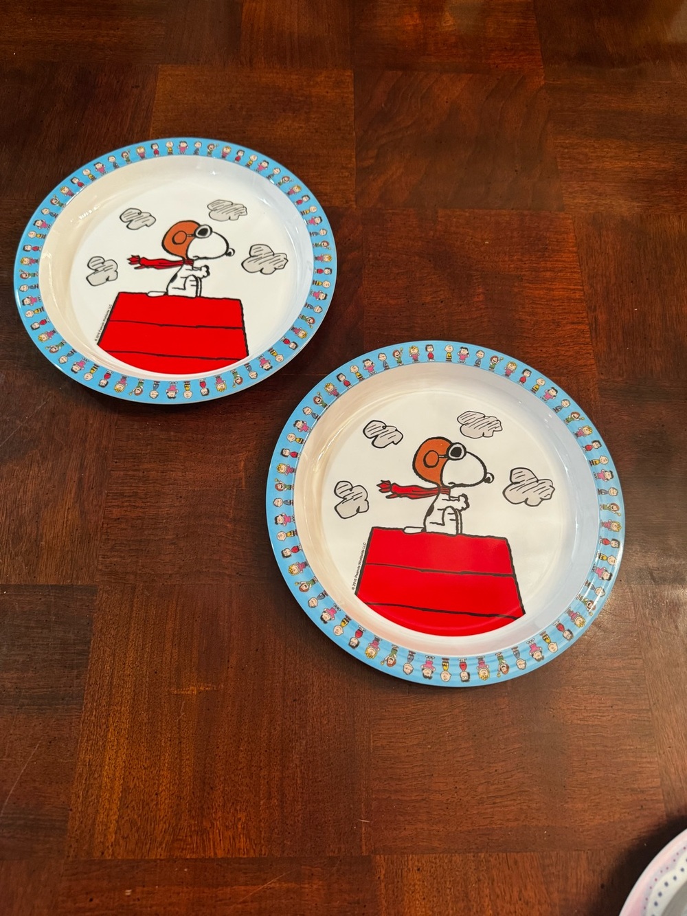 Peanuts Charlie Brown Snoopy Dinnerware Melamine Set of 2 Dinner Plates
